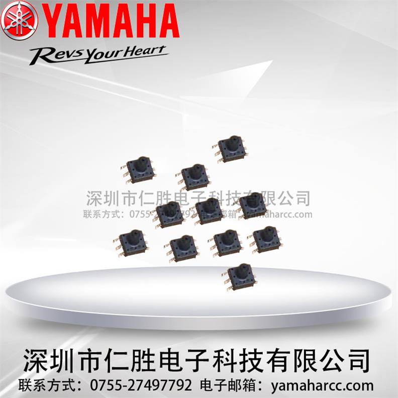 YAMAHA YV100СIC ՙzyIC