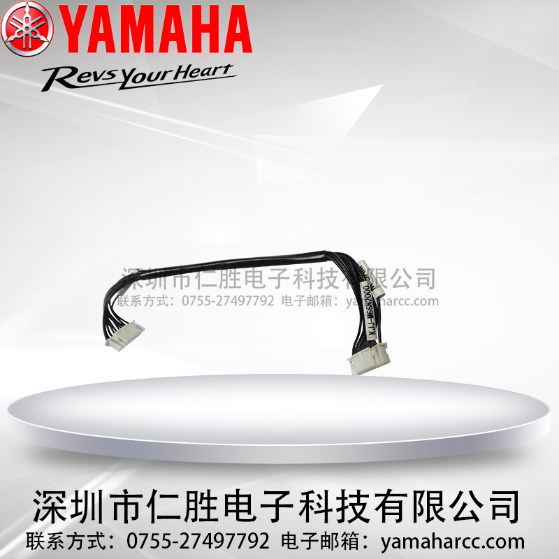 YAMAHA YSM20CBӾKJJ-M66N2000ԭbƷ