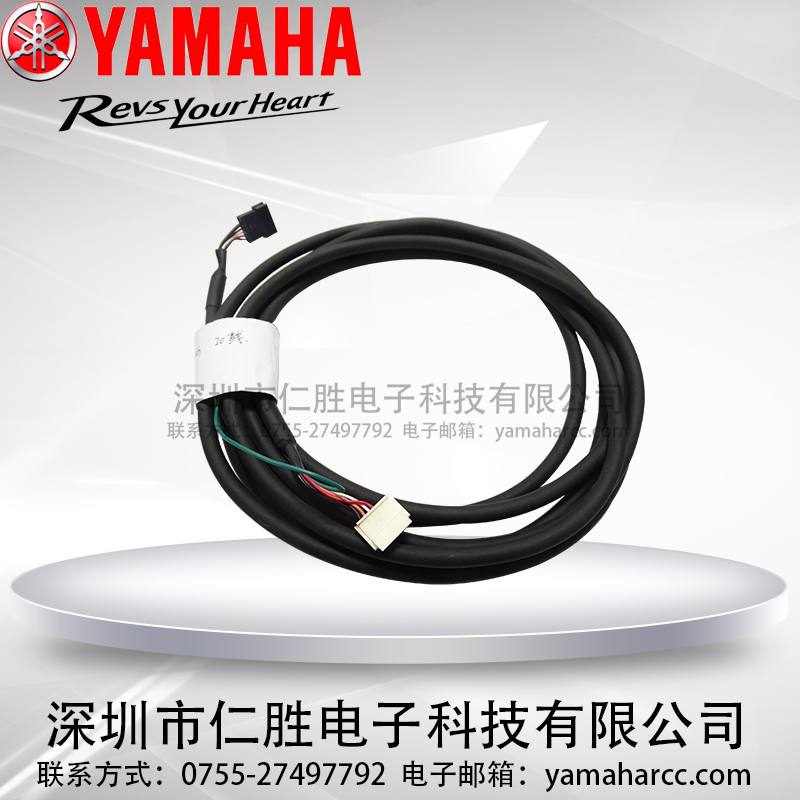 YAMAHA YV100XG IO