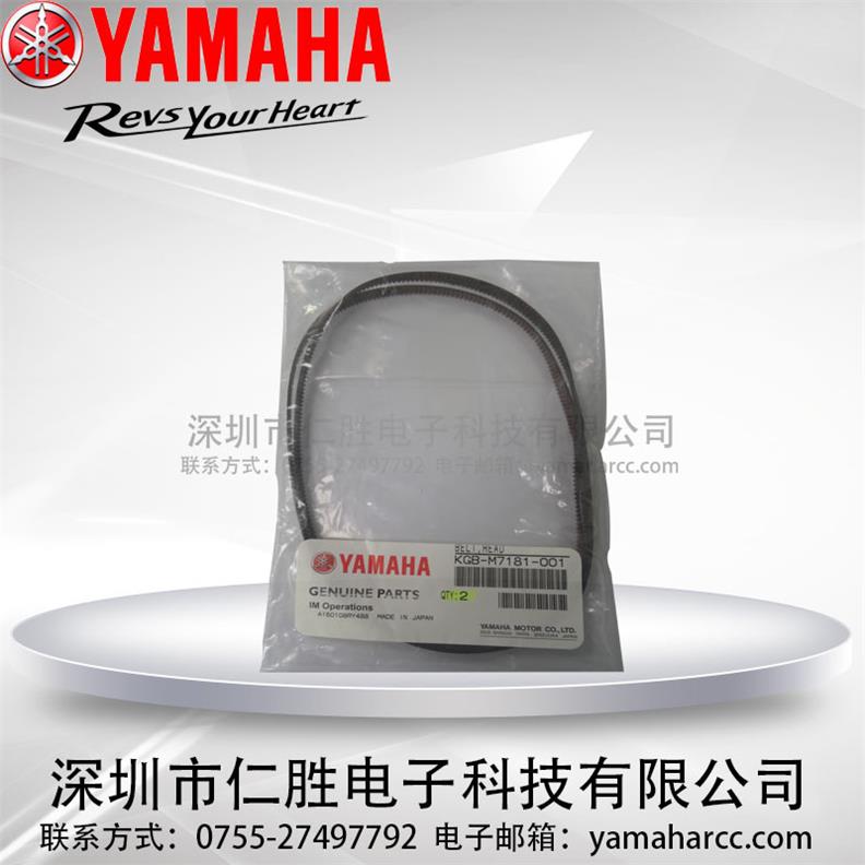 KGB-M7181-001 YV100XG^RSƤ